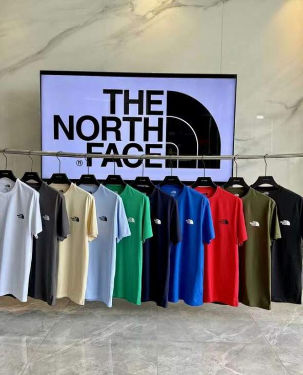 Picture of The North Face T Shirts Short _SKUTheNorthFaceM-3XL8qx02907